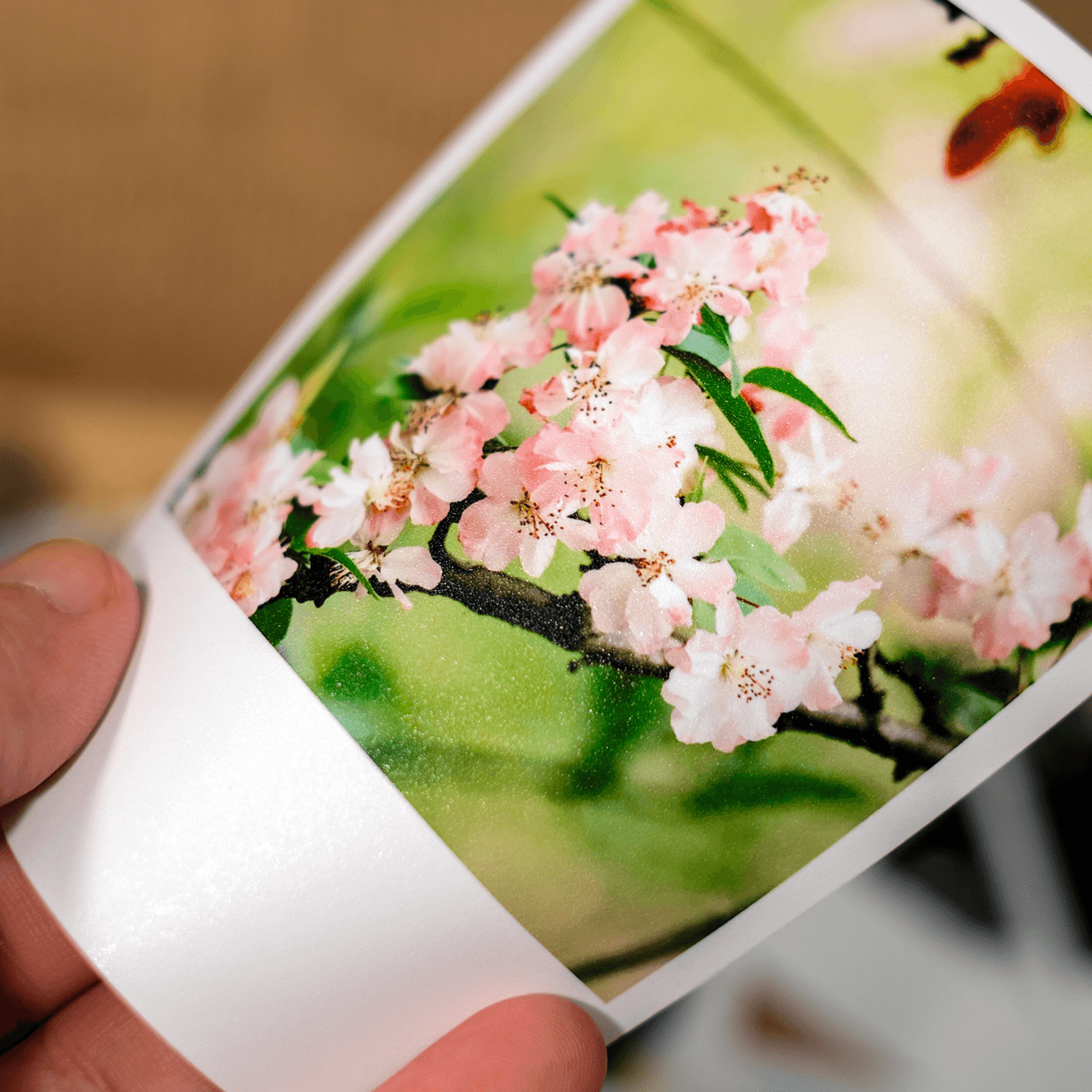 Ảnh in được cầm trên tay, placeholder mô phỏng chất giấy có thể thay thế